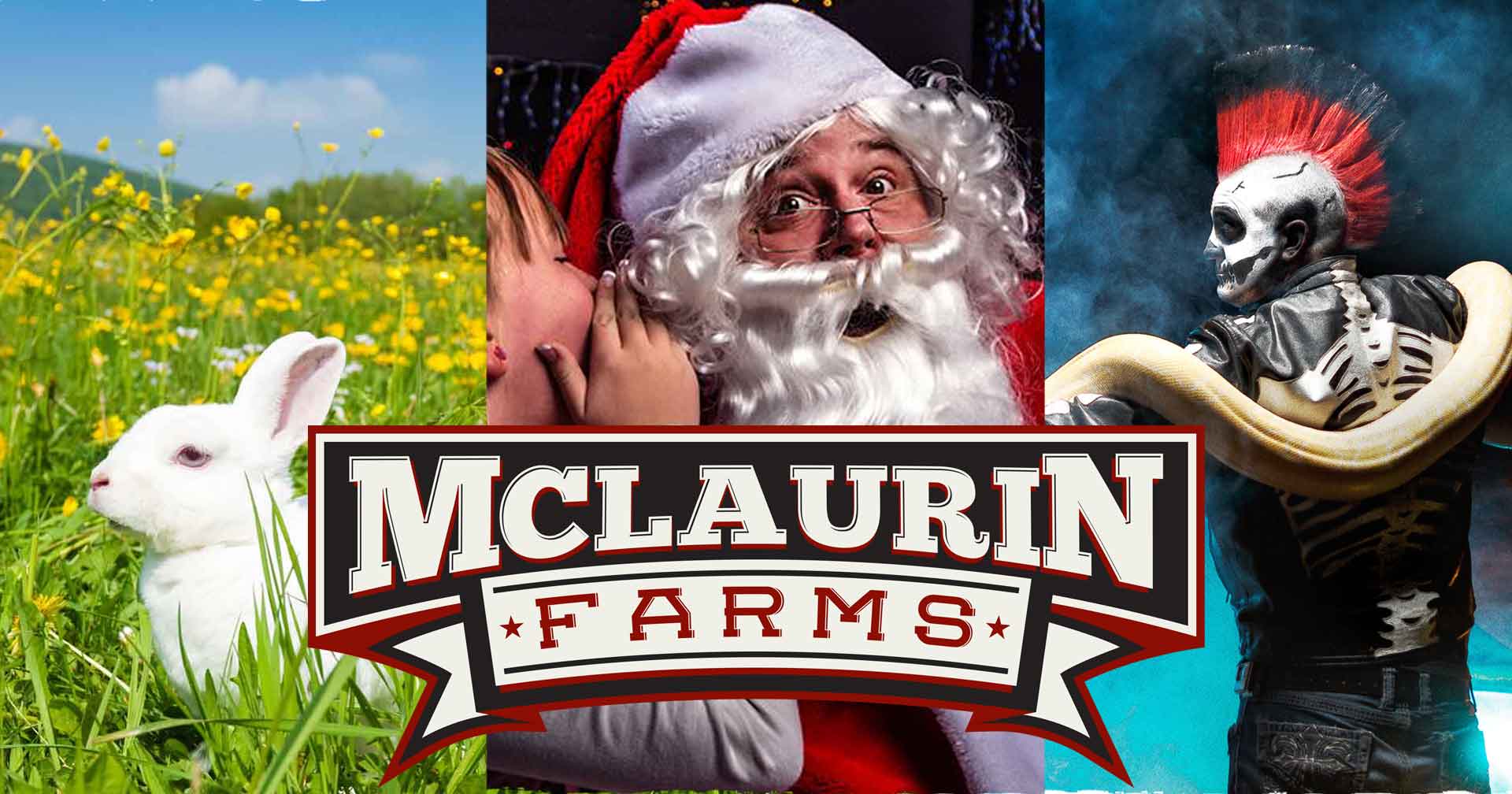 McLaurin Farms Family Friendly Events Greensboro NC