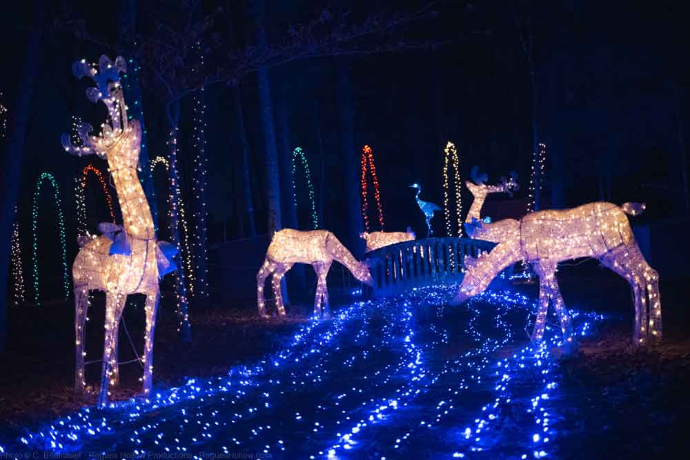 Christmas festival Mclaurin Farms