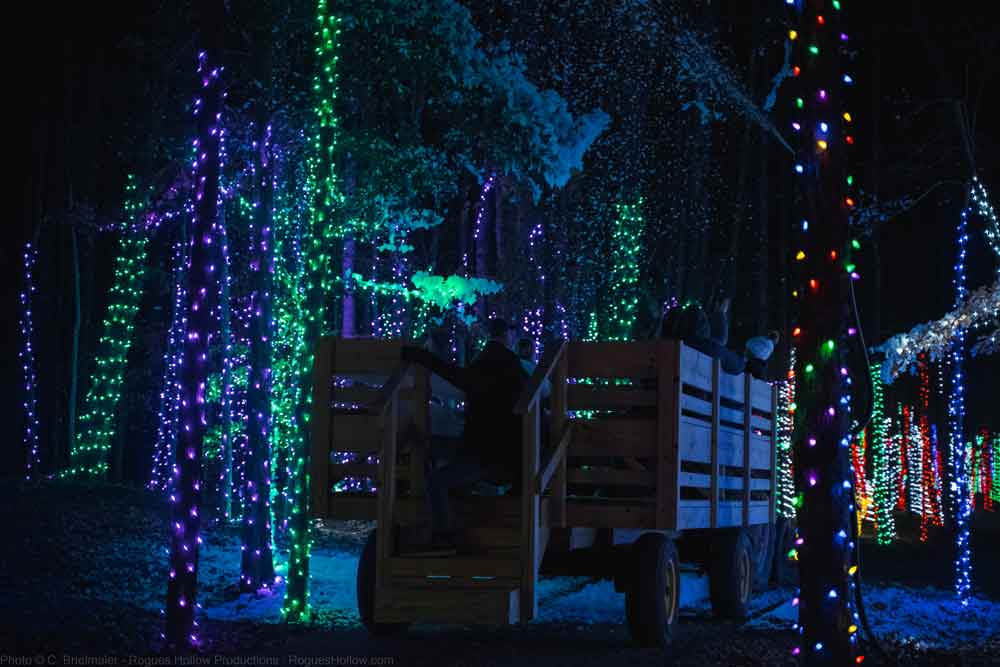 Christmas festival Mclaurin Farms