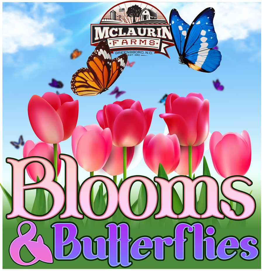 Blooms & Butterflies at Mclaurin Farms